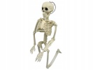 Lidská kostra skelet 40 cm halloween dekorace
