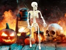 Lidská kostra skelet 40 cm halloween dekorace