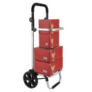 Nákupní taška na kolečkách 42L 50kg