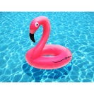 Nafukovací kolo Plameňák Flamingo 90cm