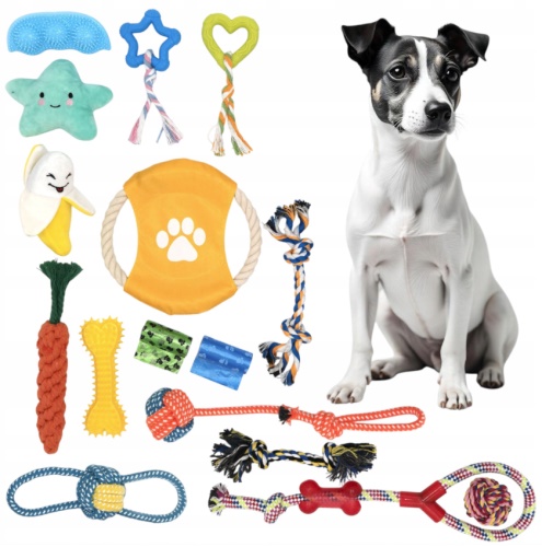 Sada 16 hraček pro psy
